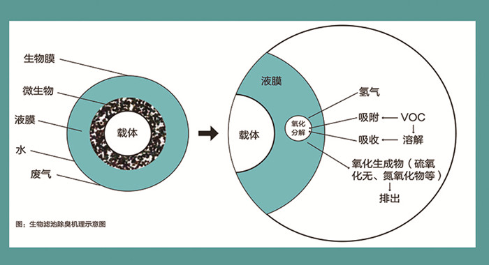 生物除臭工作原理